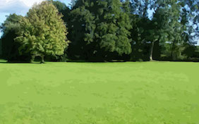Outside grassy field nature