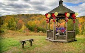 Gazebo outside park party balloons birthday