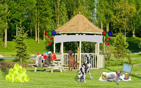 Park party gazebo outside balloons Happy Birthday celebration