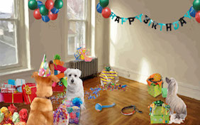 Birthday party