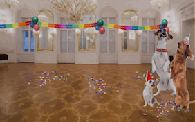 Party inside room celebration birthday decorations new year