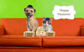 Build your own passover ecard