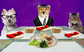 Build your own passover ecard