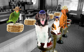 Build your own Passover ecard