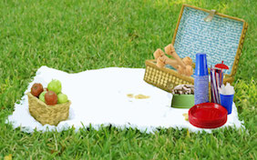 Picnic basket blanket park grass outside