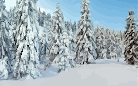 Winter snowy trees snow holidays christmas
