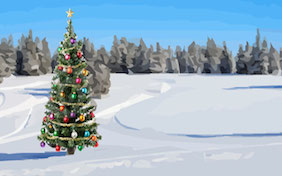 Snow christmas tree holiday winter outside