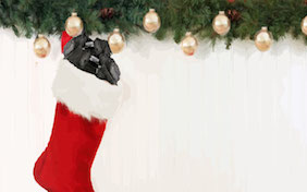 Christmas stocking with coal holidays