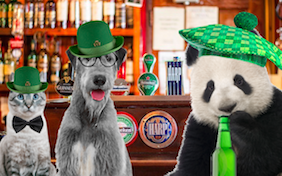 Build your own St. Patricks Day ecard