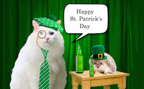 Build your own St. Patricks Day ecard