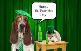 Build your own St. Patricks Day ecard