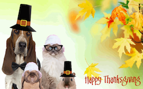 Build your own Thanksgiving ecard
