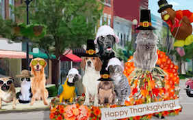 Build your own Thanksgiving ecard