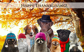 Build your own Thanksgiving ecard