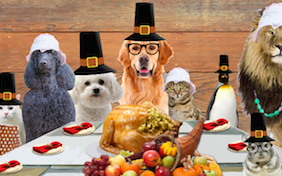 Build your own Thanksgiving ecard