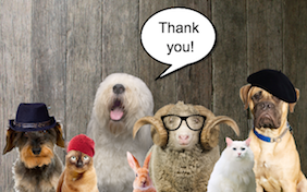 Build your own thank you ecard