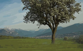 Tree outside nature