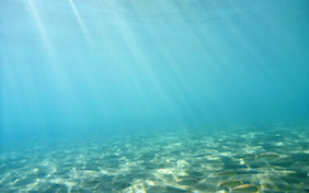 Under water ocean tropical vacation