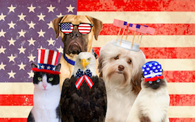 Build your own Memorial Day ecard