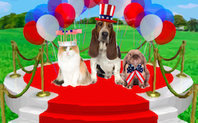 Build your own Memorial Day ecard
