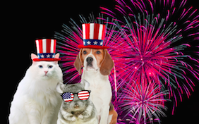 Build your own Memorial Day ecard