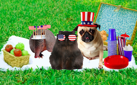 Build your own July 4th ecard