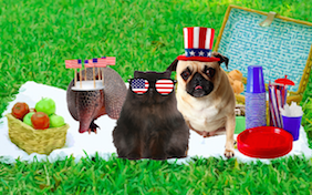 Build your own Memorial Day ecard
