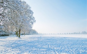 Winter snow field holidays christmas