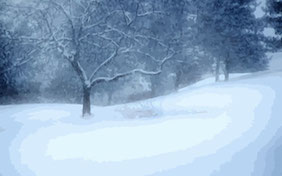 Winter snow field holidays christmas