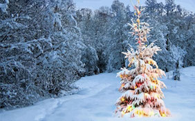 Winter christmas tree lights holidays snow