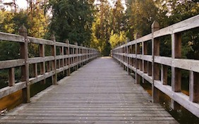 Wooden bridge outside nature