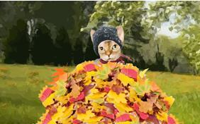 Warm Autumn Wishes cat ecard