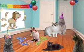 Birthday Agenda ecard with cats