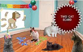 Birthday Agenda ecard with two cats
