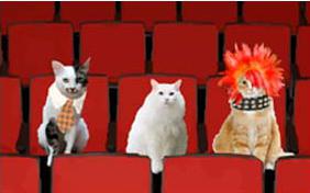 Birthday Band Auditions ecard with cats