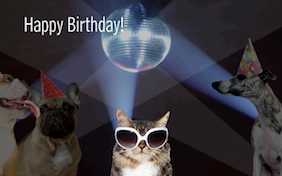 Birthday Bash birthday ecard with cats