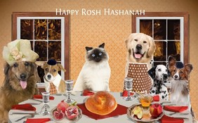 Rosh Hashanah Challah cat ecard
