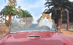 Still Turning Heads birthday ecard with cats