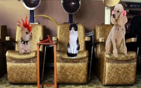 Birthday Party Time birthday ecard with cats