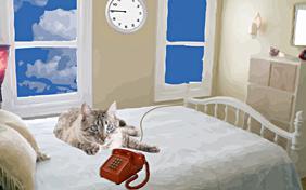 How Come You Don't Call ecard with cats