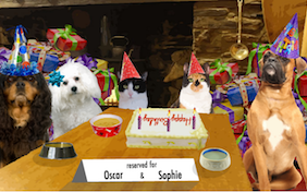 Cheers to You! birthday ecard with two cats