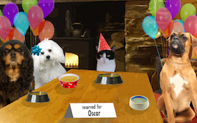 Cheers to You! congratulations ecard with cats