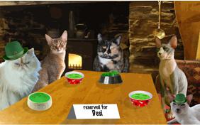 St. Patrick's Day Cheers ecard with cats