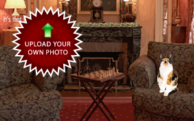 Santa Paws Is Coming: Upload Your Photo ecard with Cats