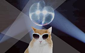 Cool Cat birthday ecard with cats