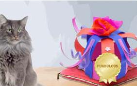 Furbulous cat ecard
