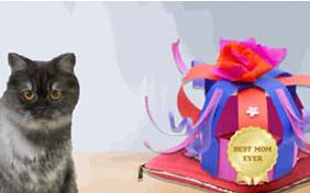 Best Mom Ever Mother's Day cat ecard