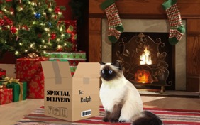 Christmas Delivery photo upload cat ecard