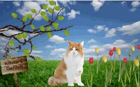 Happy Spring, Happy Easter ecard with cats