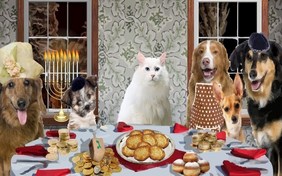 A Family Hanukkah ecard with cats